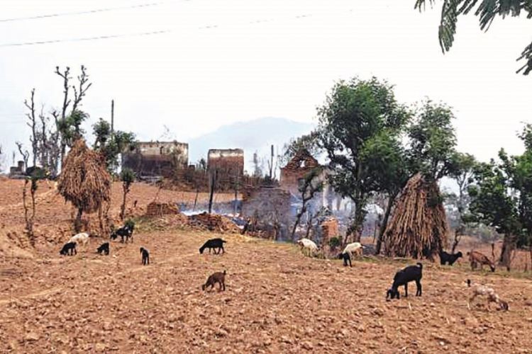 आगलागीमा जलेर ११ घर नष्ट