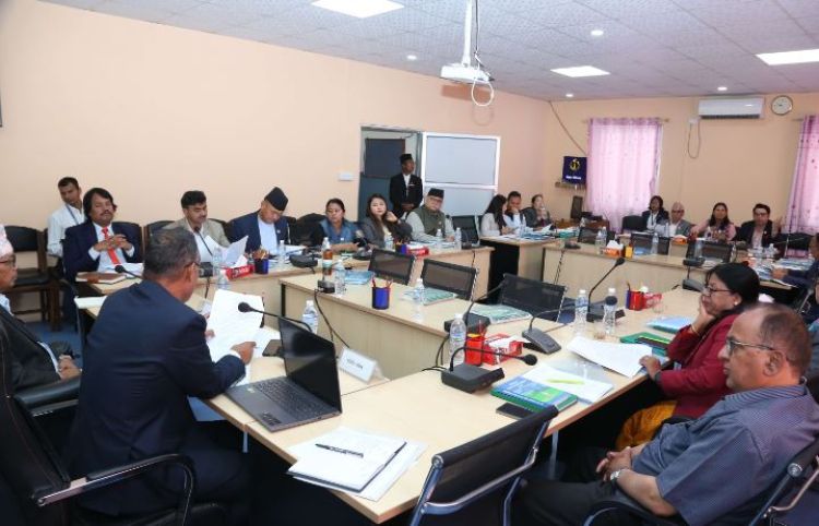 दुई संसदीय समितिको बैठक बस्दै, भावी सभापति बारे छलफल गरिने