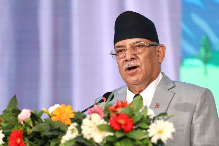 एक महिना भित्र भिजिट भिषामा छानबिन समिति बन्छ : अध्यक्ष प्रचण्ड