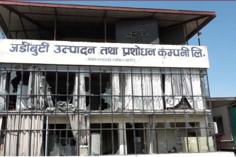  यस्तो छ राजावादीको निशानामा परेको जडीबुटी उत्पादन तथा प्रशोधन केन्द्र