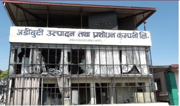  यस्तो छ राजावादीको निशानामा परेको जडीबुटी उत्पादन तथा प्रशोधन केन्द्र