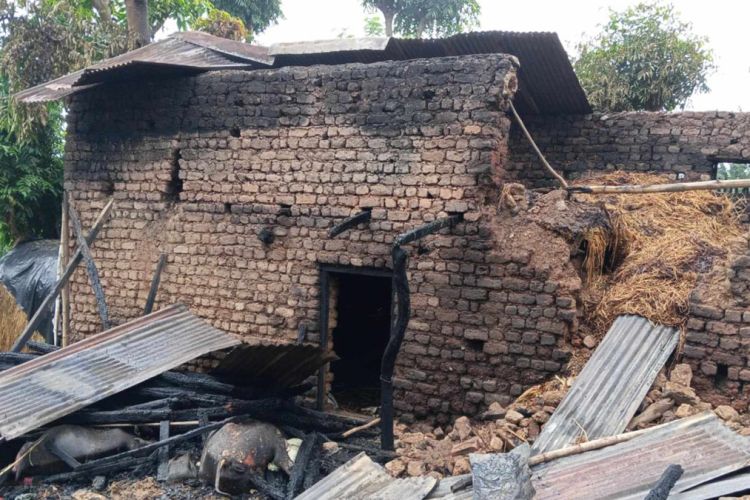 दाङ र अछाममा चट्याङ पर्दा जले बस्तुभाउ