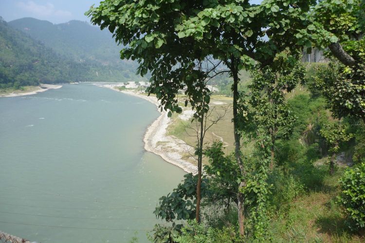 त्रिशूली नदीमा हामफालेर महिला बेपत्ता