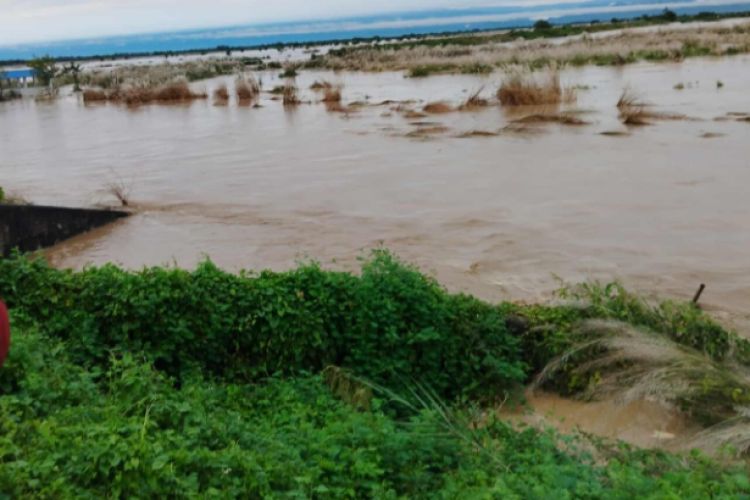 बाढी र पहिरोका कारण कोशी प्रदेशका मृत्यु हुनेको संख्या ४९ पुग्यो