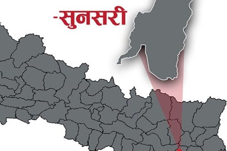 सुनसरीमा ठूलो मात्रामा गाँजा बरामद