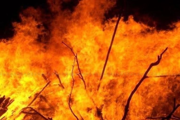 झापामा ८४ वर्षीय वृद्धले आफ्नै शरीरमा लगाए आगो