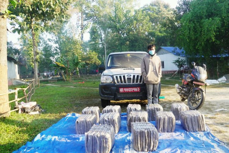 हवाई फायर गरी सशस्त्रले नियन्त्रणमा लियो डेढ सय किलो गाँजा