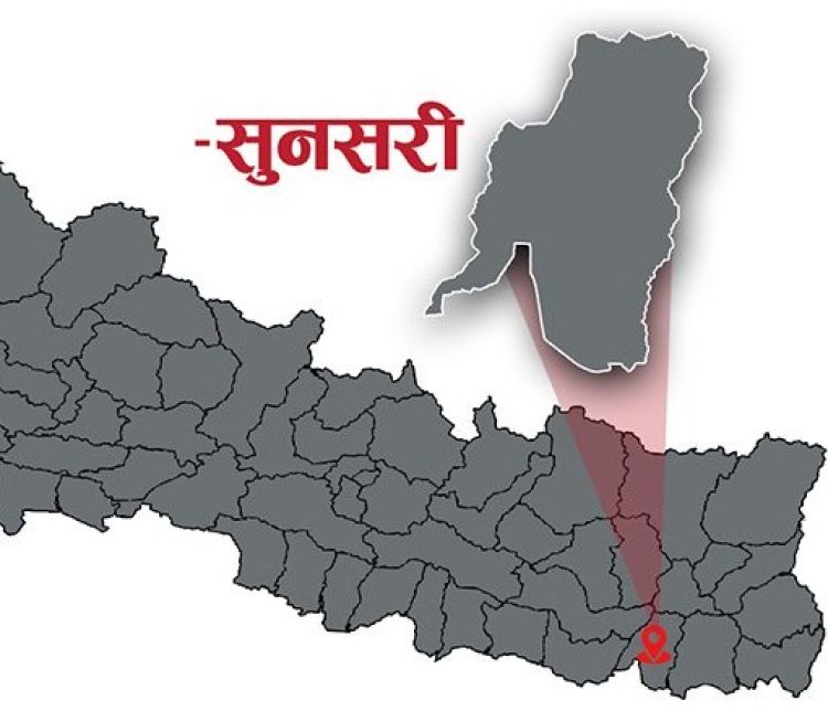 सुनसरीमा ठूलो मात्रामा गाँजा बरामद