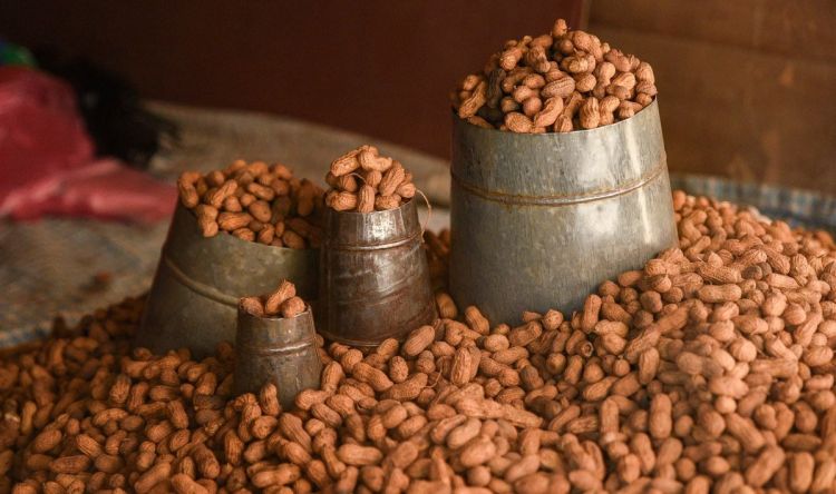 स्वाद र स्वास्थ्यको खजाना : जाडोमा बदामको बिक्री बढ्यो
