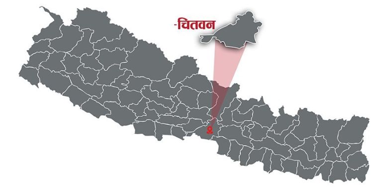 चितवनमा जेनजी आन्दोलनका ९ जना घाइतेले लिए राहत र परिचयपत्र