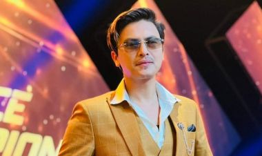 पल शाहले दिए उच्च अदालतमा निवेदन, तारेखमा छाड्न माग