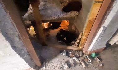 सुनसरीमा बम विष्फोट हुँदा दुई जना घाइते