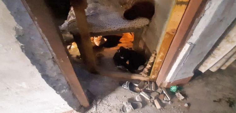 सुनसरीमा बम विष्फोट हुँदा दुई जना घाइते