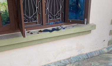 राप्रपा नेपालका चितवन जिल्ला अध्यक्ष विष्णुप्रसाद खरालको घरमा तोडफोड