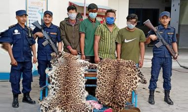 चितुवाको छालासहित ४ जना पक्राउ