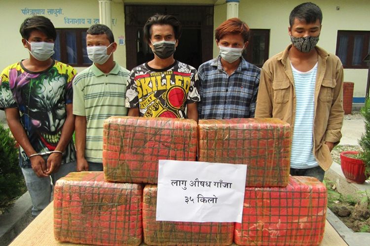 ३५ किलो गाँजासहित पाँच जना पक्राउ