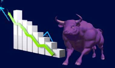 सेयर बजारमा आज सामान्य अंकको वृद्धि 