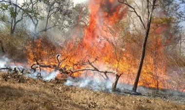 उदयपुरका सामुदायिक वनहरुमा डढेलो, जोखिममा मानवबस्ति 