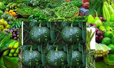 आजको तरकारी तथा फलफूलको मुल्य, हरियो फर्सी ६० रुपैयाँ