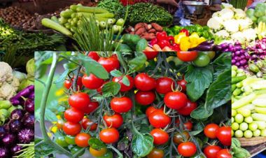 आजको फलफूल तथा तरकारीको मूल्य, टमाटर १४० रुपैयाँ