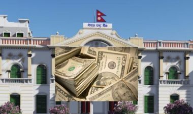 २६.६ प्रतिशत बढेर १५ खर्ब ३९ अर्ब पुग्यो विदेशी विनिमय सञ्चिति