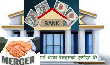मर्ज भएका बैंकहरूको एनपीएल धेरै, कसको कति आयो ?