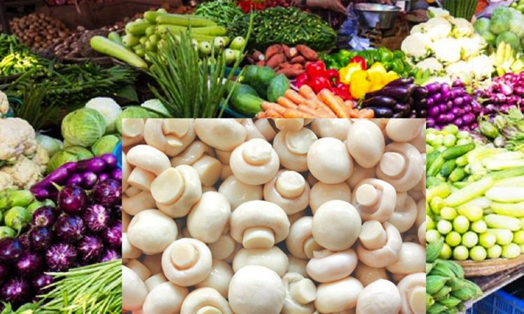 वर्षासँगै बढ्यो हरियो तरकारीको मूल्य, डल्ले च्याउ ३३० रुपैयाँ