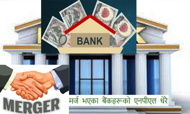 मर्ज भएका बैंकहरूको एनपीएल धेरै, कसको कति आयो ?