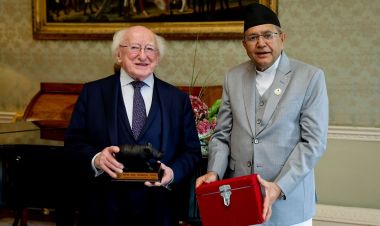नेपालमा लगानी गर्न आयरल्याण्डका राष्ट्रपतिसँग सभामुख घिमिरेको आग्रह