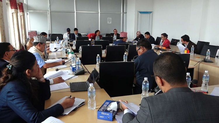 आज संसदका तीन समितिको बैठक बस्दै