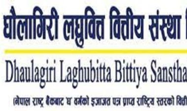 धौलागिरी लघुवित्त वित्तीय संस्थाद्वारा लाभांश घोषणा