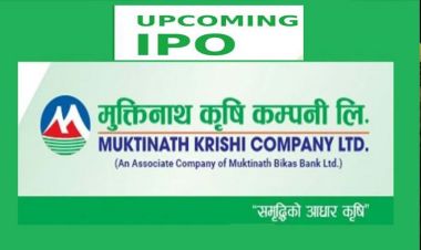 ८ मंसिरदेखि आईपीओ निष्काशन गर्दै मुक्तिनाथ कृषि कम्पनी