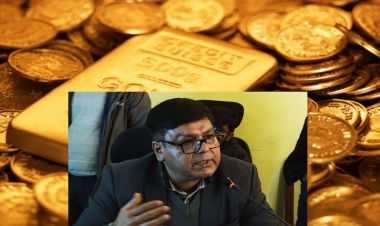 १४ किलो सुन तस्करी प्रकरण:  मिनबहादुरको समुह नै संलग्न रहेको छानविन समितिको निष्कर्ष 