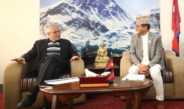 विपीन जोशीको रिहाइका लागि सार्थक पहल गर्न अध्यक्ष तिमिल्सिनाको आग्रह