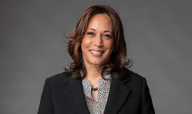 डेमोक्रेटको राष्ट्रपति उम्मेदवार छान्न मतदान शुरु, ह्यारिसले बहुमत ल्याउने निश्चित