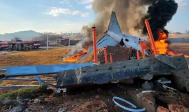  जेजु विमान दुर्घटना अपडेटः १७९ जनाको मृत्यु, जेजु एयरले माग्यो माफी