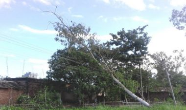 हावाहुरीबाट मधेस प्रदेश प्रभावितः सिरहामा पर्खाल भत्किँदा एक जनाको मृत्यु